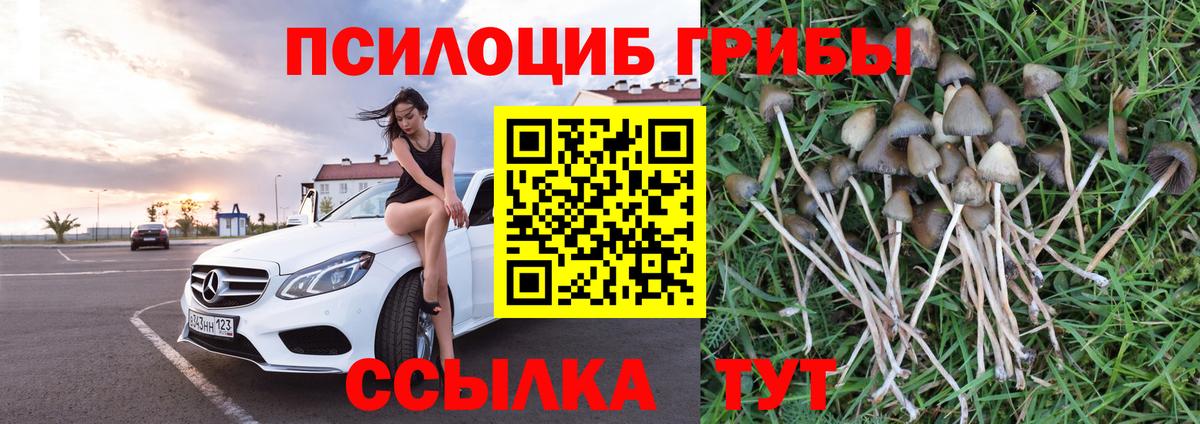 Новоалтайск  Галлюциногенные грибы прущие грибы  Вход с VPN  Галлюциногенные грибы мухоморы 